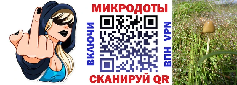 Галлюциногенные грибы Psilocybe что такое наркотик Демидов